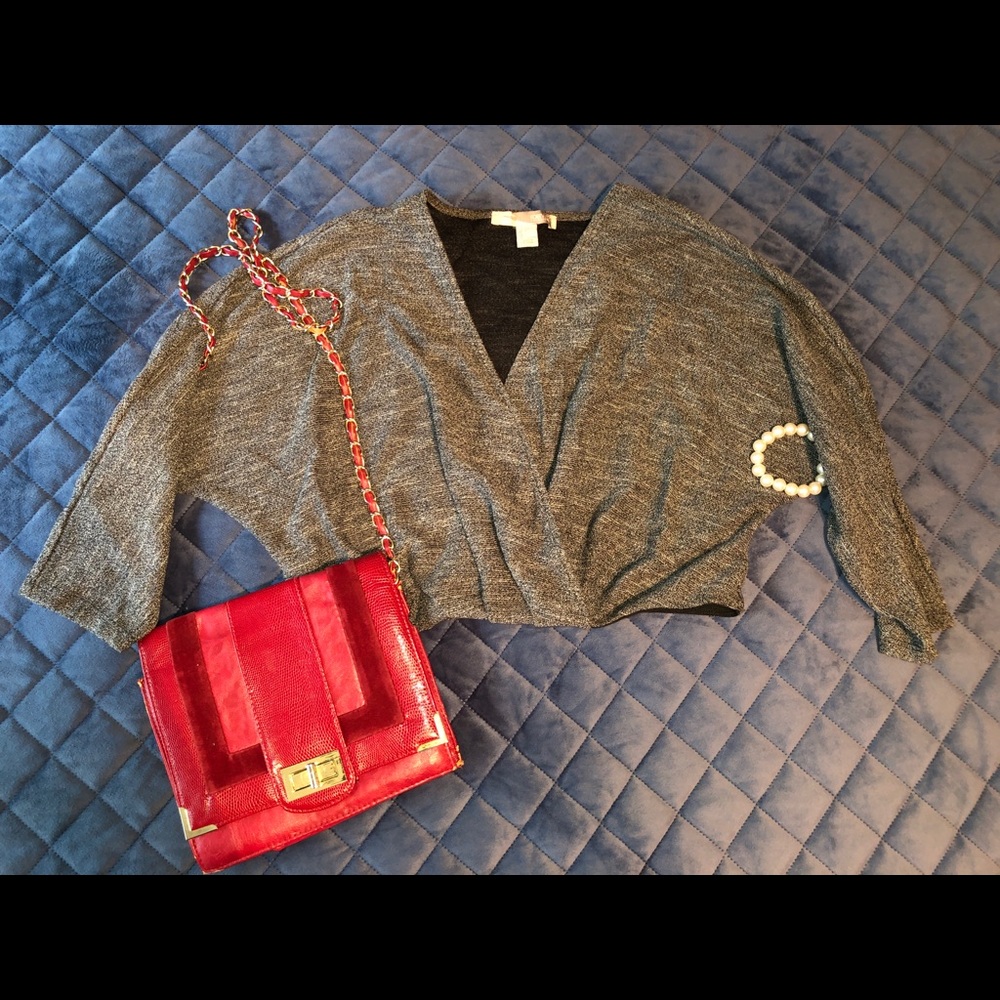 Silver Crop Top